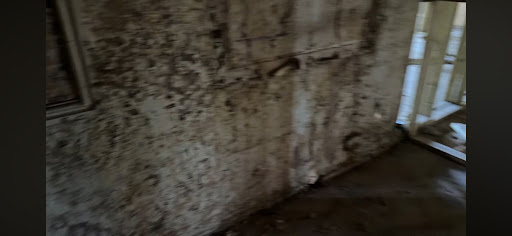 Surface stripping and preparation of internal walls in residential projects.