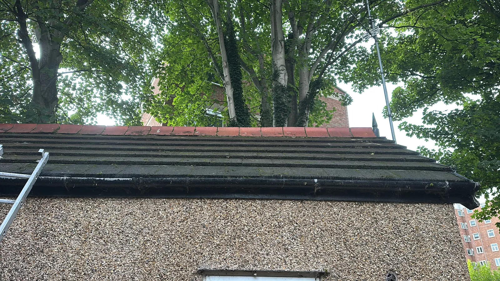 Residential roof cleared of moss and loose debris