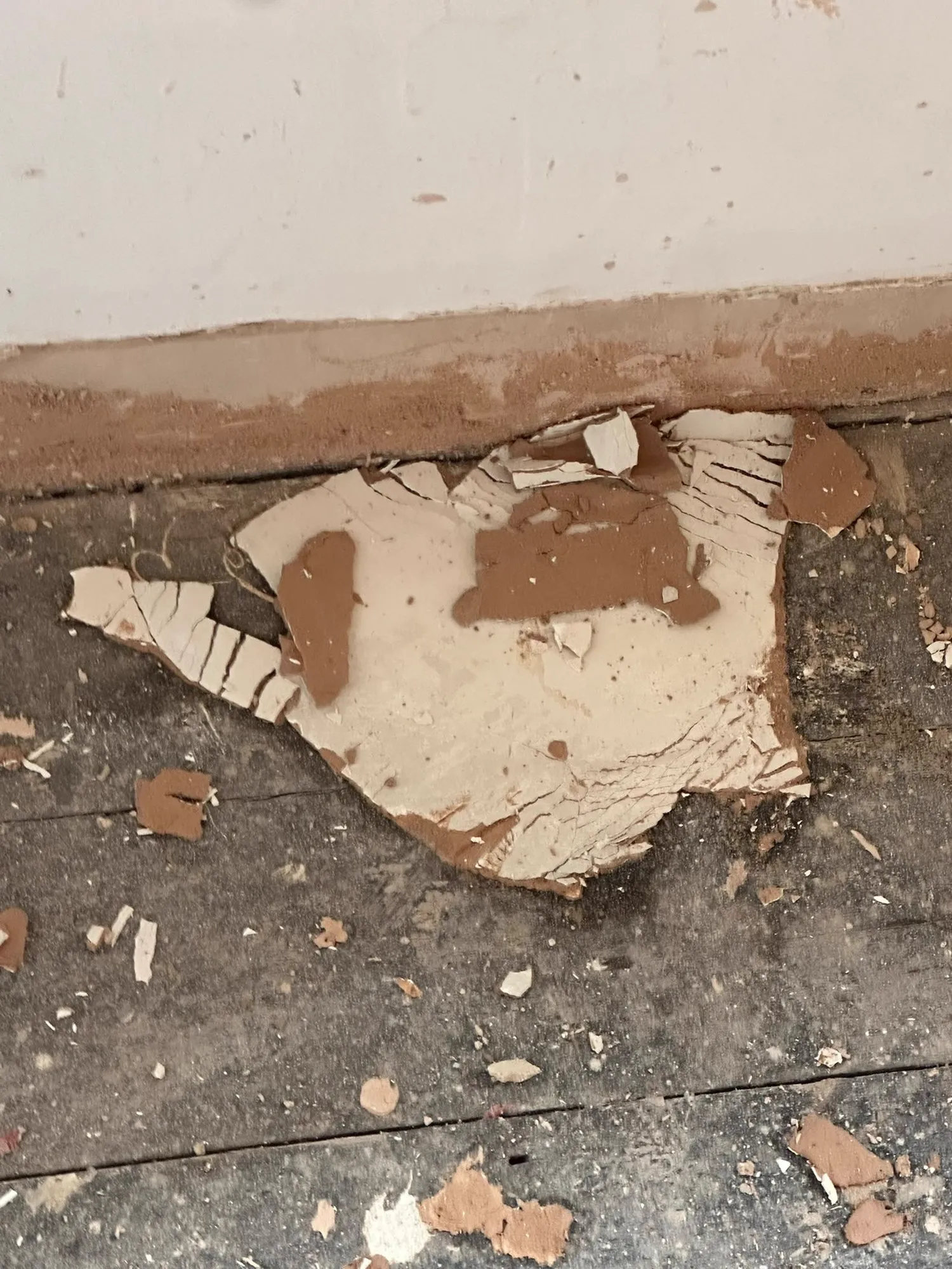 Electrical area visible during an internal strip out project