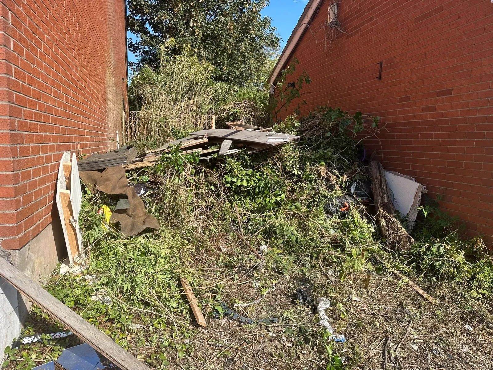 Overgrown exterior area cleared during property preparation