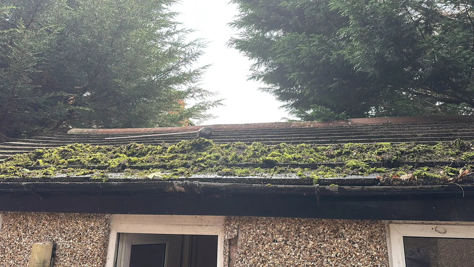 Moss and debris on a residential roof before clearance work